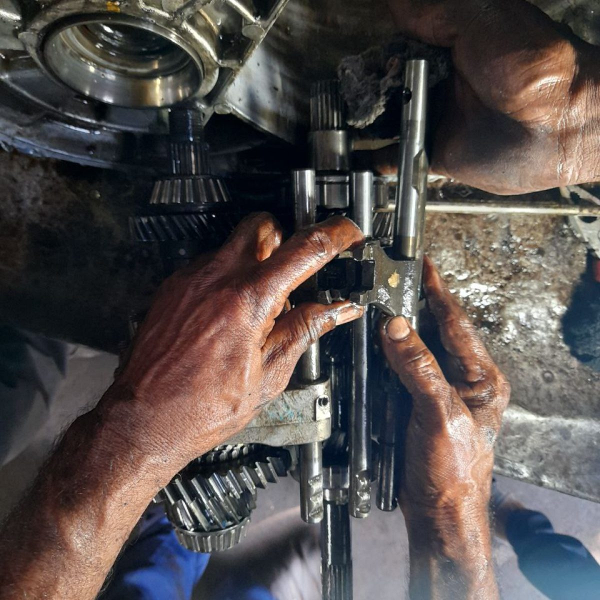 photo_2025-03-05_10-41-10